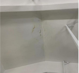 1732436532691429.png 1732436532691429.png